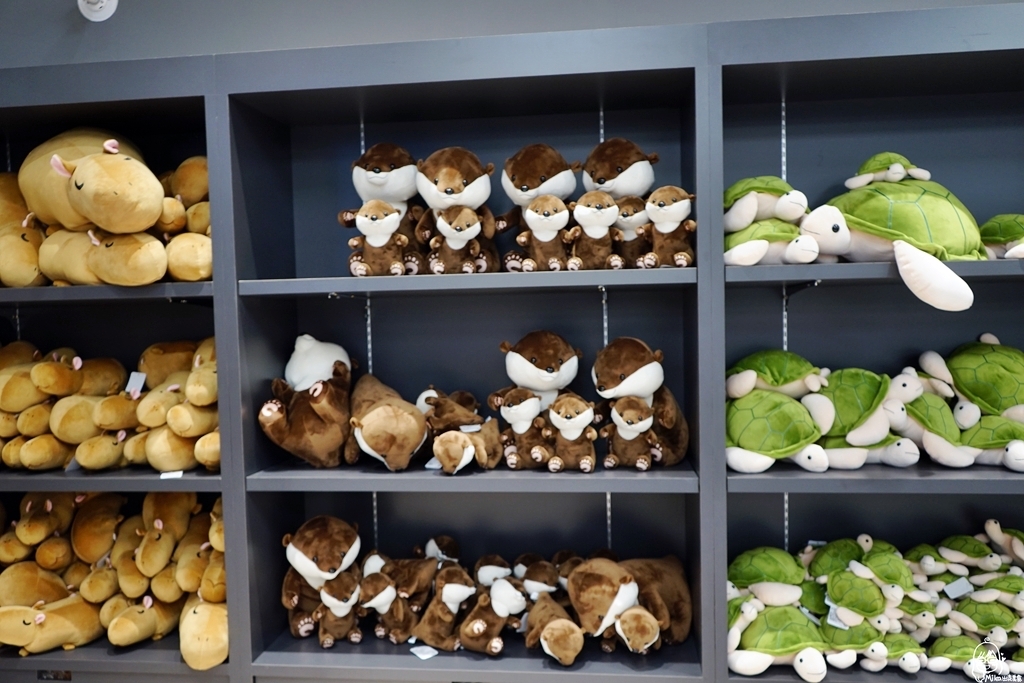 【夜宿Xpark】COZZI Blu 和逸飯店桃園館.夜宿Xpark海生館一泊四食,宿海奇遇星級海洋系眠旅 @飛天璇的口袋 【夜宿Xpark】COZZI Blu 和逸飯店桃園館.夜宿Xpark海生館一泊四食,宿海奇遇星級海洋系眠旅 @飛天璇的口袋