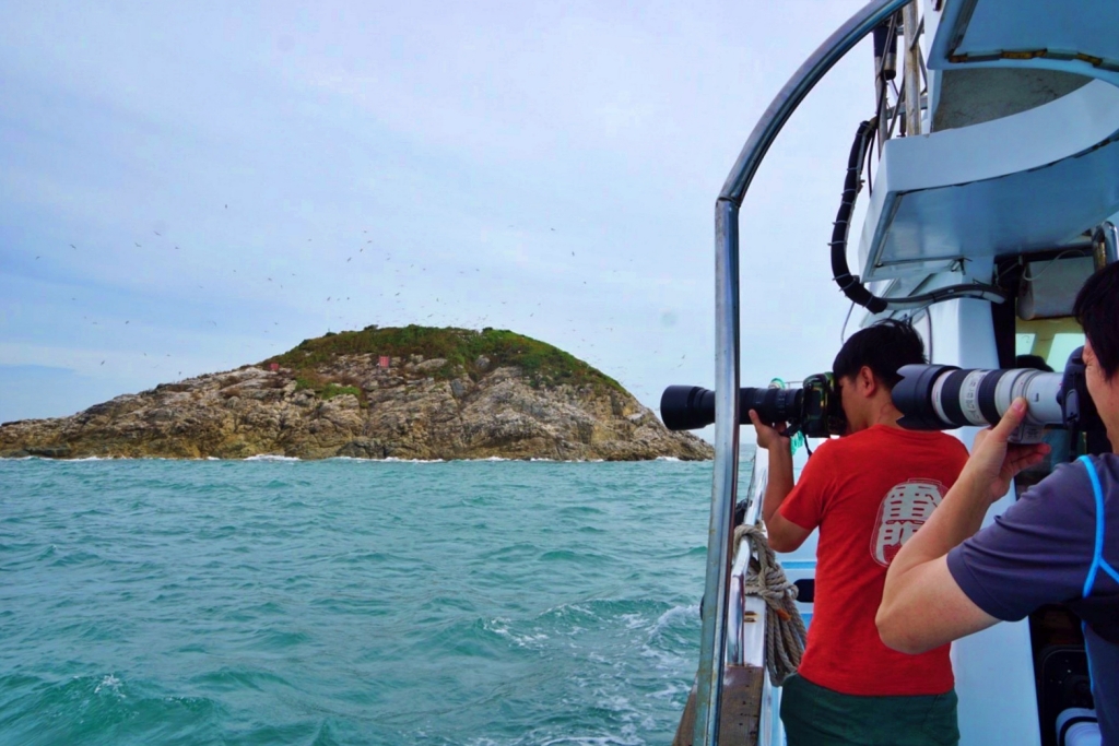 【馬祖北竿】馬祖燕鷗季：全世界僅存100隻的”神話之鳥”黑嘴端鳳頭燕鷗 @飛天璇的口袋