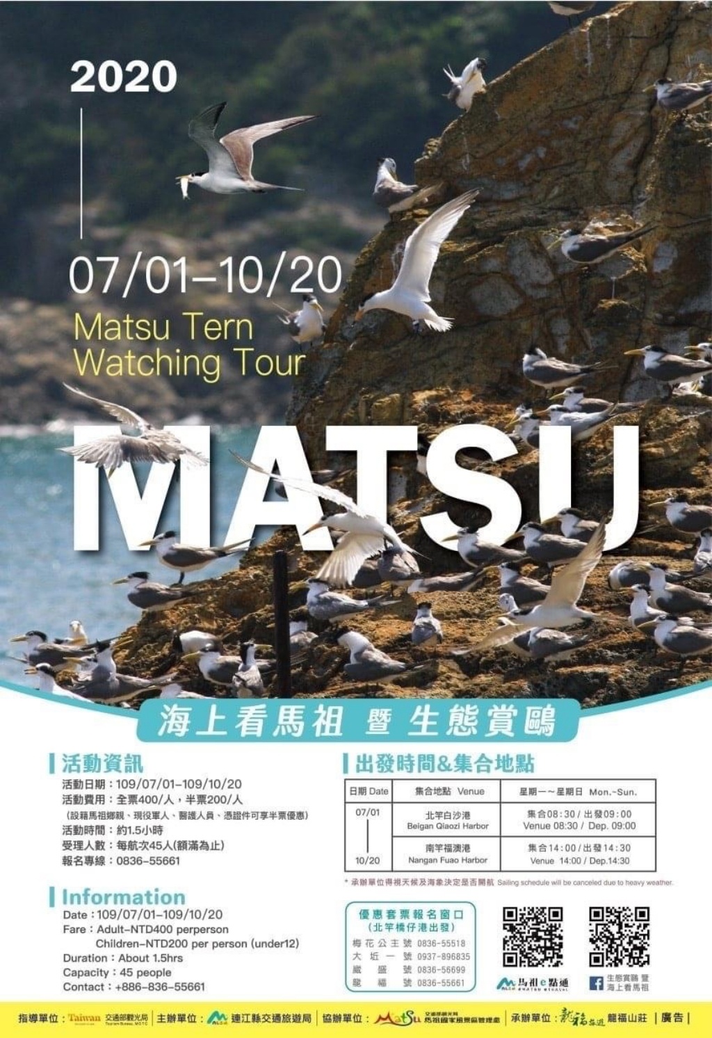 【馬祖北竿】馬祖燕鷗季：全世界僅存100隻的”神話之鳥”黑嘴端鳳頭燕鷗 @飛天璇的口袋