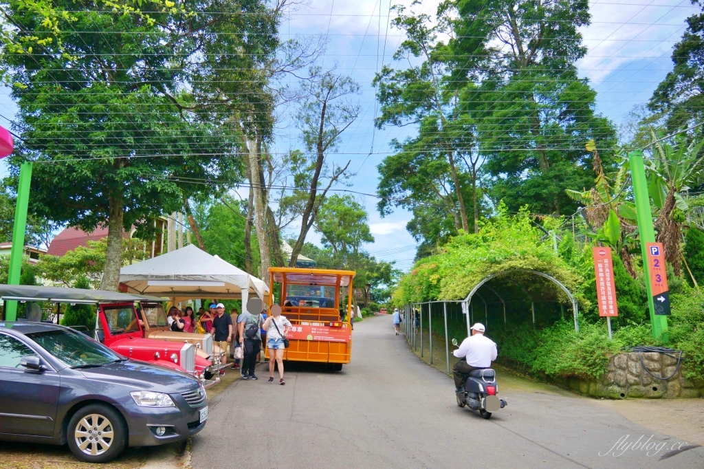 蘇維拉莊園｜蘑菇精靈樹屋、75公尺長森林溜滑梯、瀑布雨林咖啡屋 @飛天璇的口袋