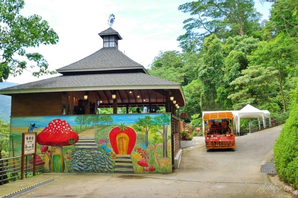 蘇維拉莊園｜蘑菇精靈樹屋、75公尺長森林溜滑梯、瀑布雨林咖啡屋 @飛天璇的口袋