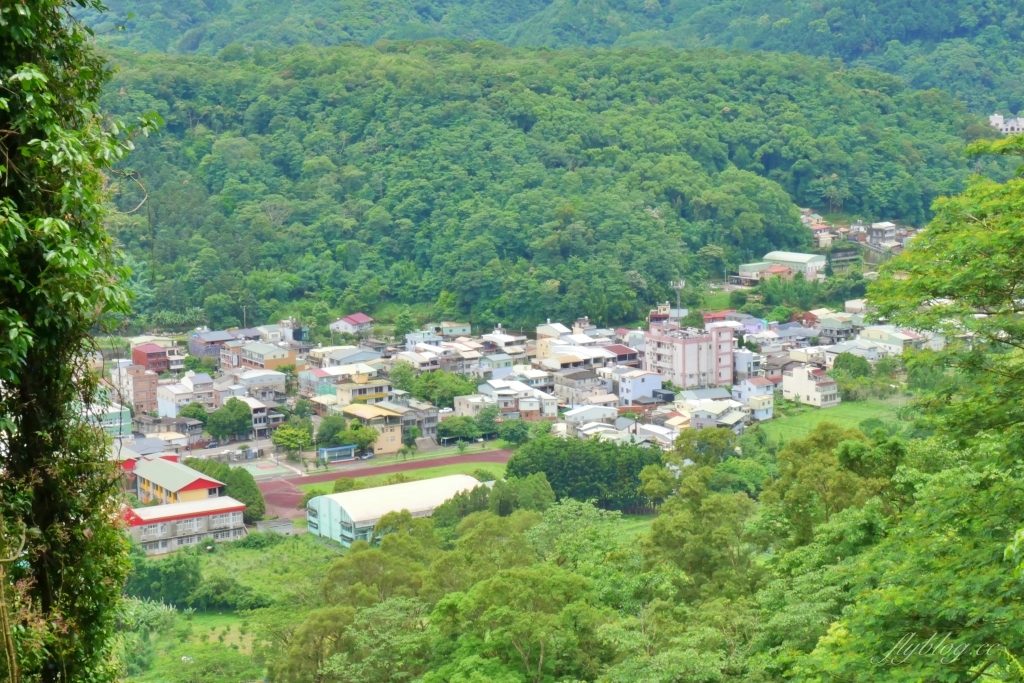 蘇維拉莊園｜蘑菇精靈樹屋、75公尺長森林溜滑梯、瀑布雨林咖啡屋 @飛天璇的口袋