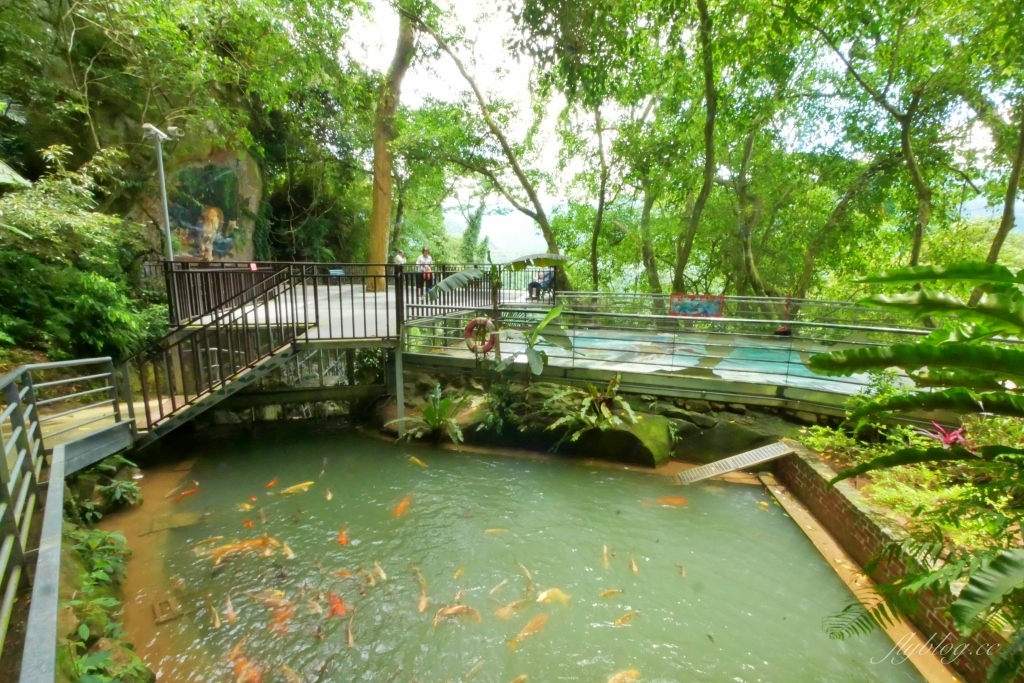 蘇維拉莊園｜蘑菇精靈樹屋、75公尺長森林溜滑梯、瀑布雨林咖啡屋 @飛天璇的口袋