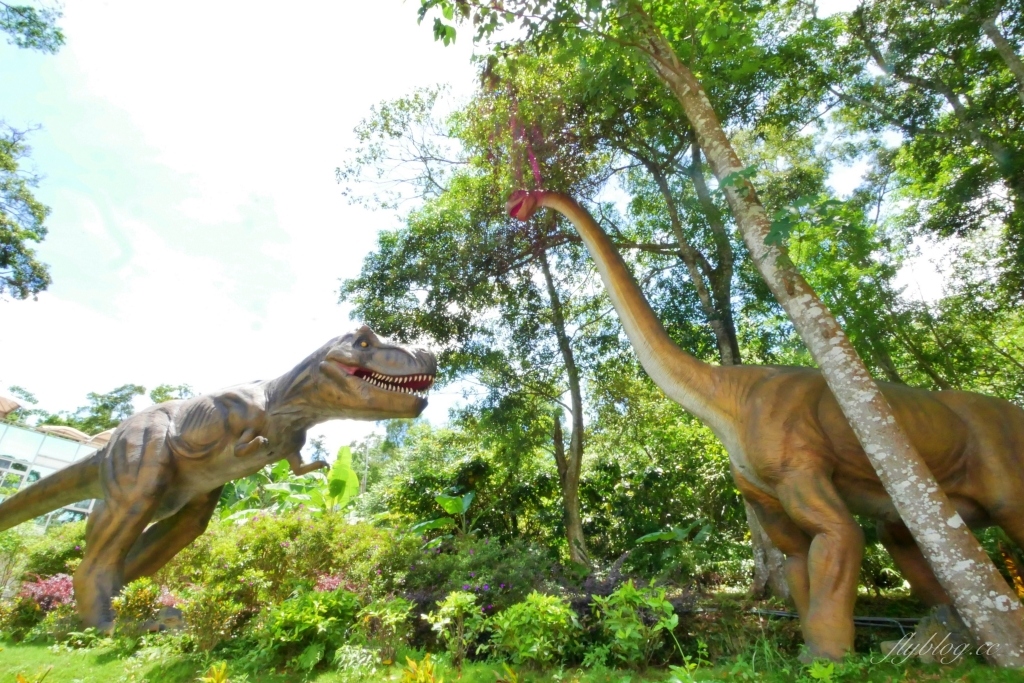 蘇維拉莊園｜蘑菇精靈樹屋、75公尺長森林溜滑梯、瀑布雨林咖啡屋 @飛天璇的口袋