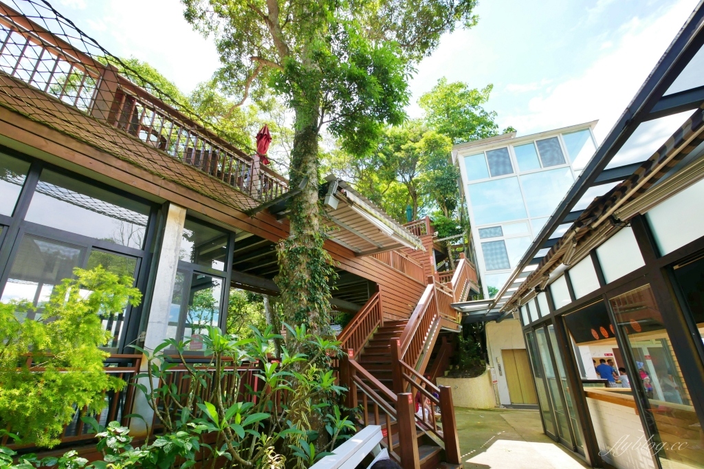 蘇維拉莊園｜蘑菇精靈樹屋、75公尺長森林溜滑梯、瀑布雨林咖啡屋 @飛天璇的口袋