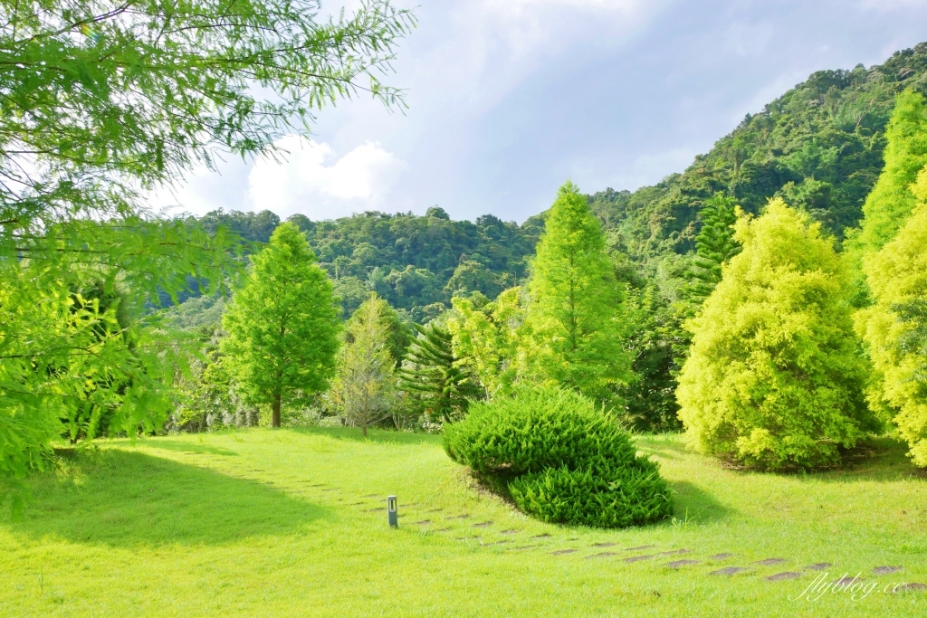 南庄雲水度假森林｜浪漫落羽松雲水渡假園區，綠意盎然的自然景觀 @飛天璇的口袋