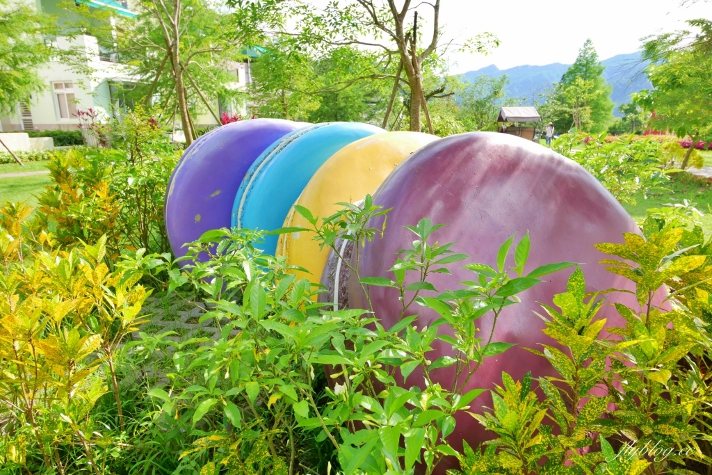 南庄雲水度假森林｜浪漫落羽松雲水渡假園區，綠意盎然的自然景觀 @飛天璇的口袋