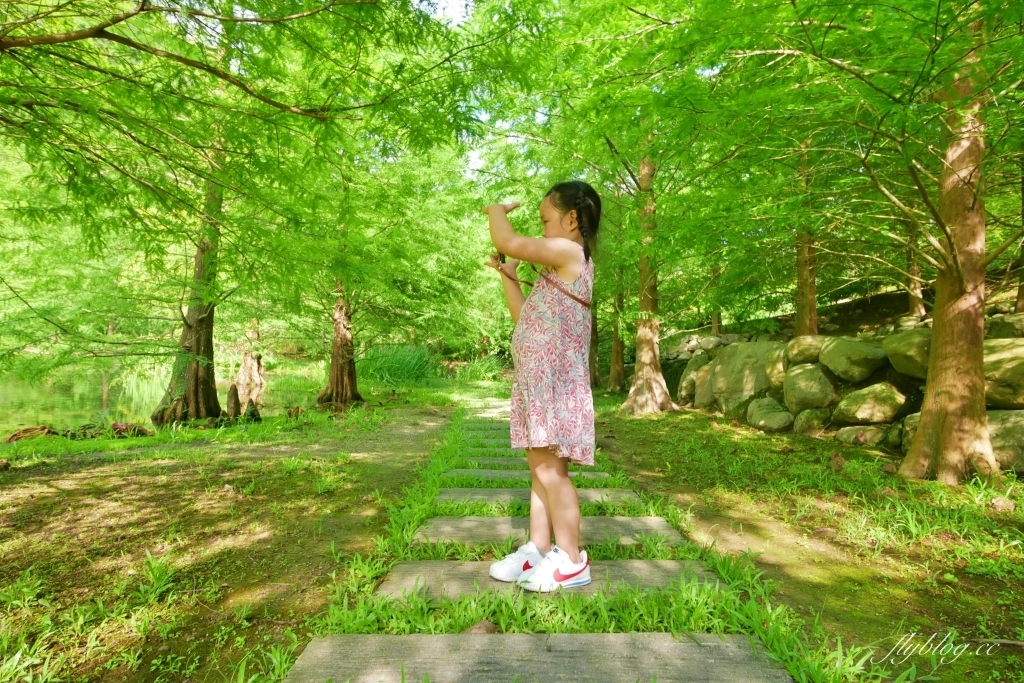 南庄雲水度假森林｜浪漫落羽松雲水渡假園區，綠意盎然的自然景觀 @飛天璇的口袋