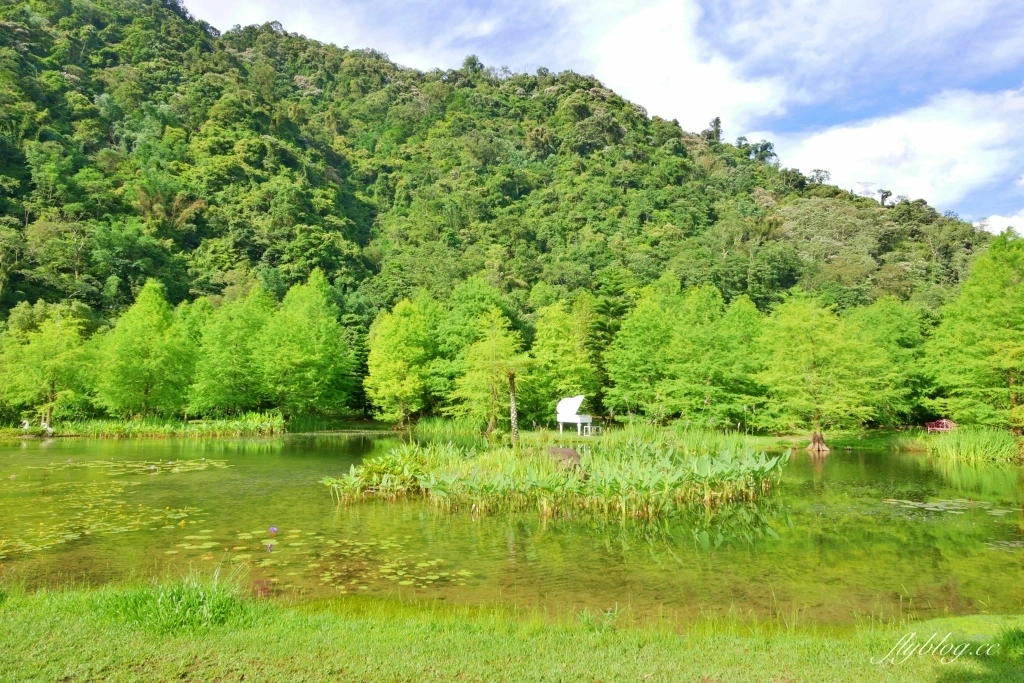 南庄雲水度假森林｜浪漫落羽松雲水渡假園區，綠意盎然的自然景觀 @飛天璇的口袋