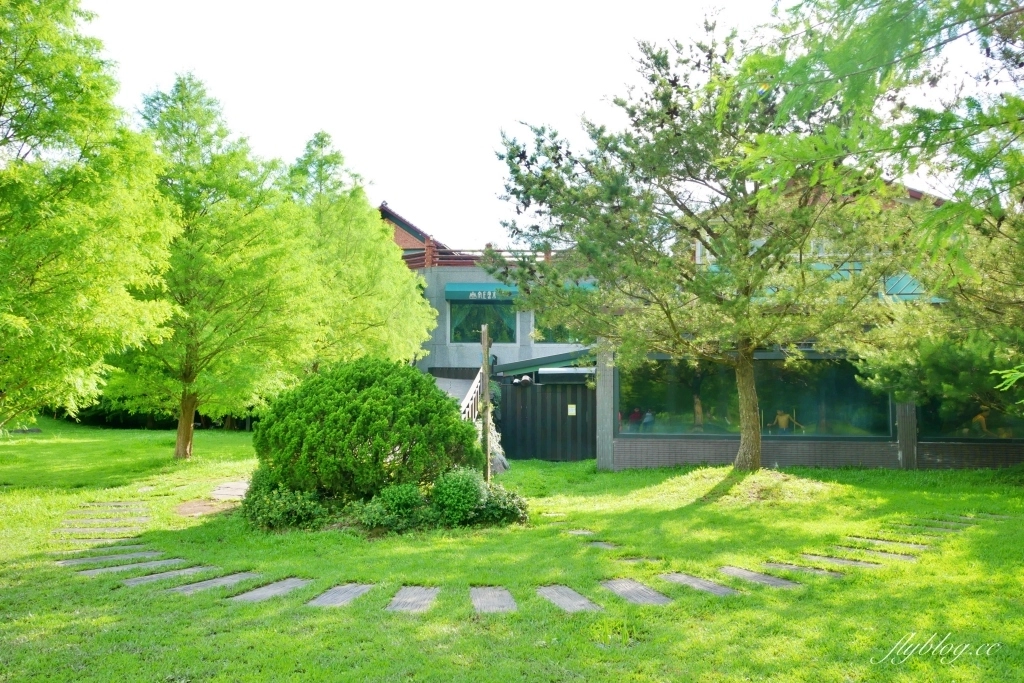 南庄雲水度假森林｜浪漫落羽松雲水渡假園區，綠意盎然的自然景觀 @飛天璇的口袋