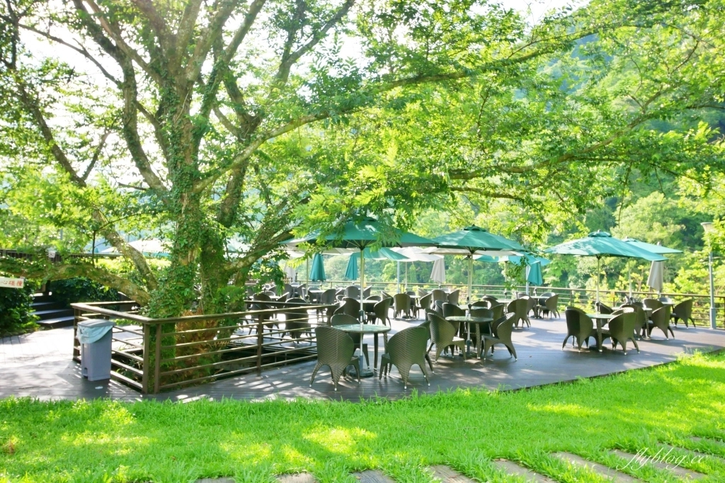 南庄雲水度假森林｜浪漫落羽松雲水渡假園區，綠意盎然的自然景觀 @飛天璇的口袋