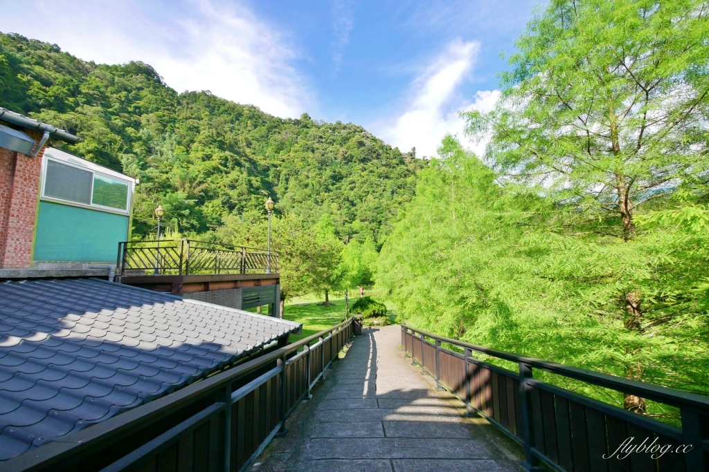 南庄雲水度假森林｜浪漫落羽松雲水渡假園區，綠意盎然的自然景觀 @飛天璇的口袋