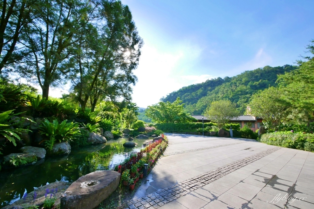 南庄雲水度假森林｜浪漫落羽松雲水渡假園區，綠意盎然的自然景觀 @飛天璇的口袋