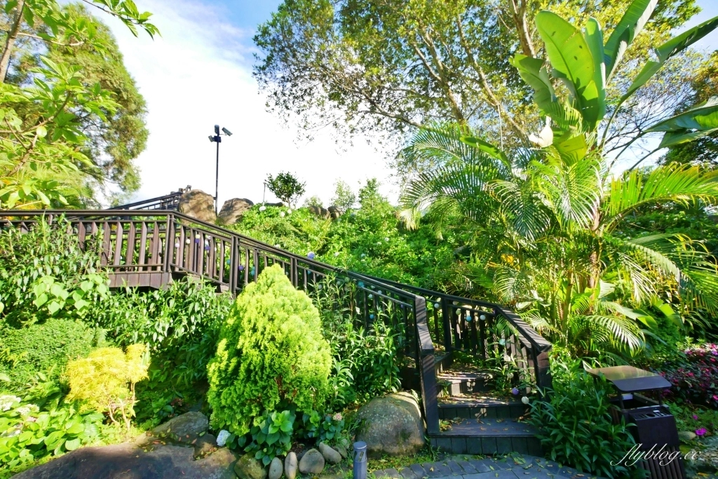 南庄雲水度假森林|浪漫落羽松雲水渡假園區,綠意盎然的自然景觀 @飛天璇的口袋 南庄雲水度假森林|浪漫落羽松雲水渡假園區,綠意盎然的自然景觀 @飛天璇的口袋