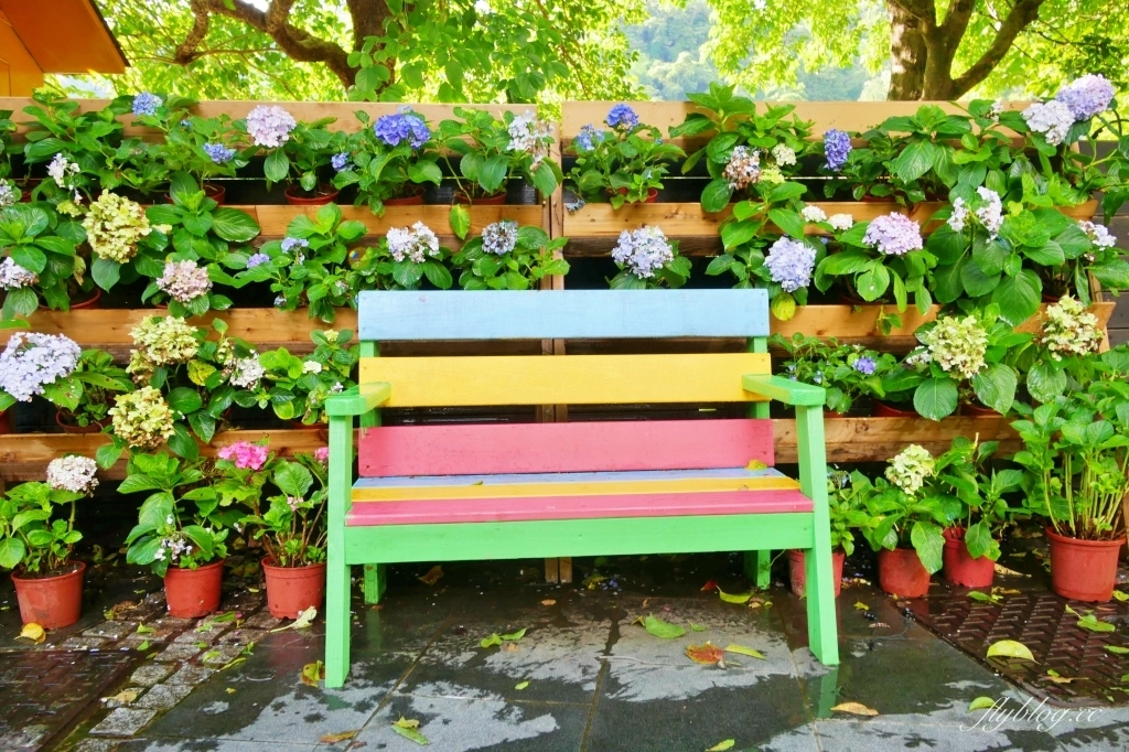 南庄雲水度假森林｜浪漫落羽松雲水渡假園區，綠意盎然的自然景觀 @飛天璇的口袋