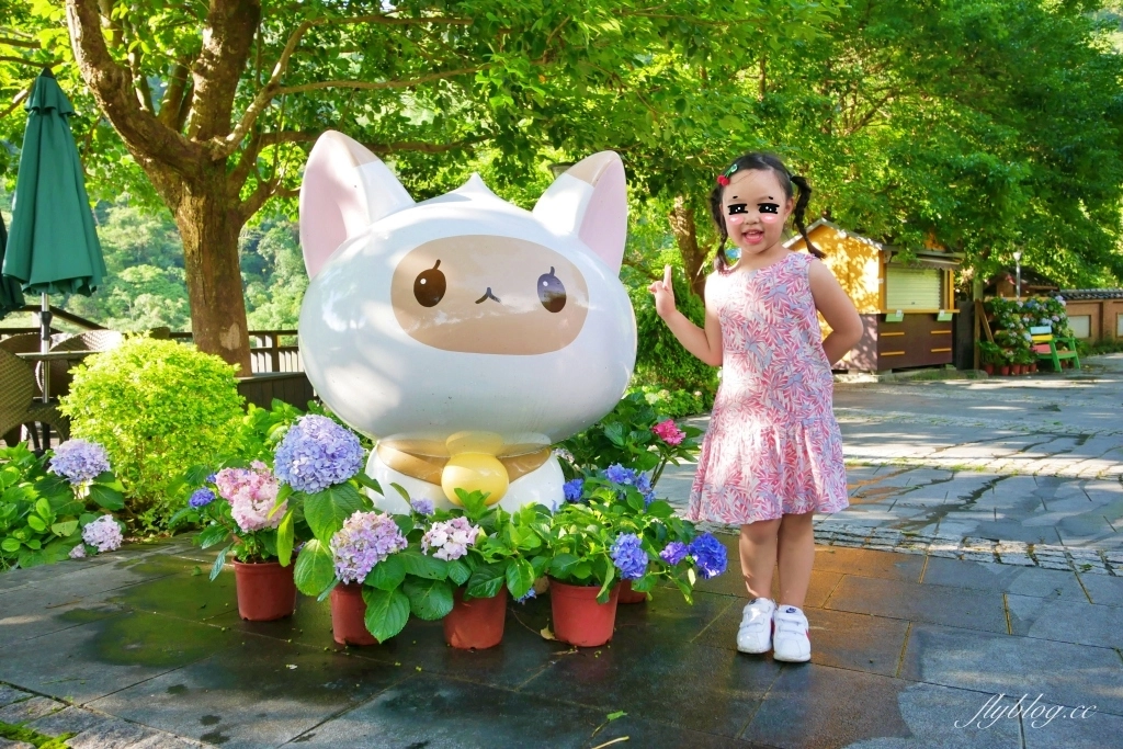 南庄雲水度假森林|浪漫落羽松雲水渡假園區,綠意盎然的自然景觀 @飛天璇的口袋 南庄雲水度假森林|浪漫落羽松雲水渡假園區,綠意盎然的自然景觀 @飛天璇的口袋