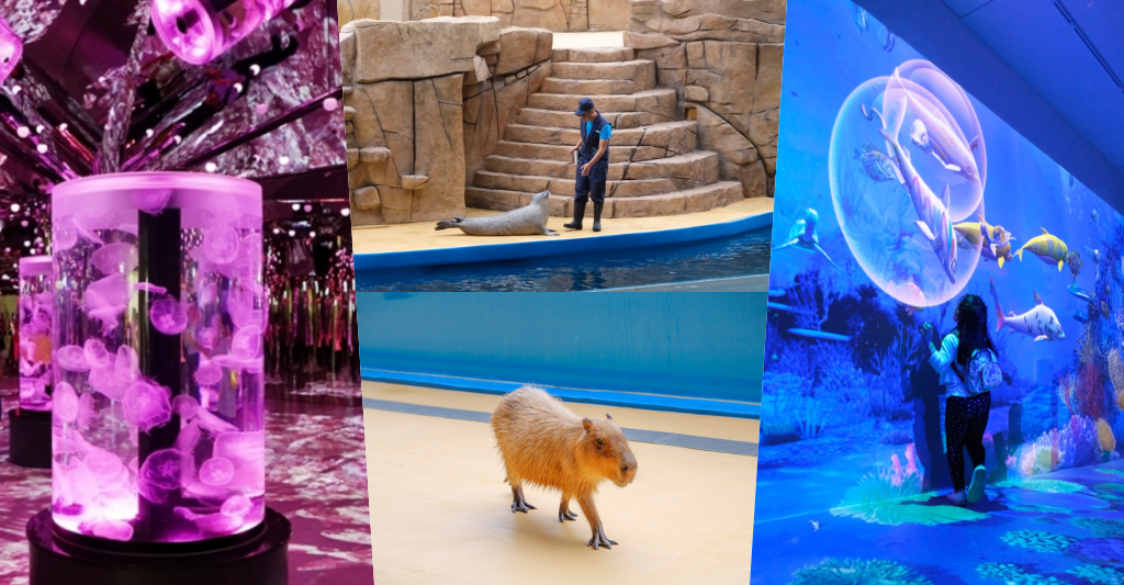 桃園中壢|Xpark.來自日本八景島的水族館,票價、交通、環境、必拍一次看 @飛天璇的口袋 桃園中壢|Xpark.來自日本八景島的水族館,票價、交通、環境、必拍一次看 @飛天璇的口袋