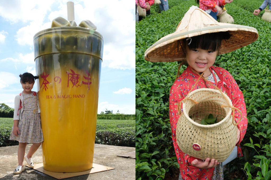 南投名間獅子頭山~茶之魔手田園茶香一日遊，珍珠奶茶DIY和採茶體驗 @飛天璇的口袋