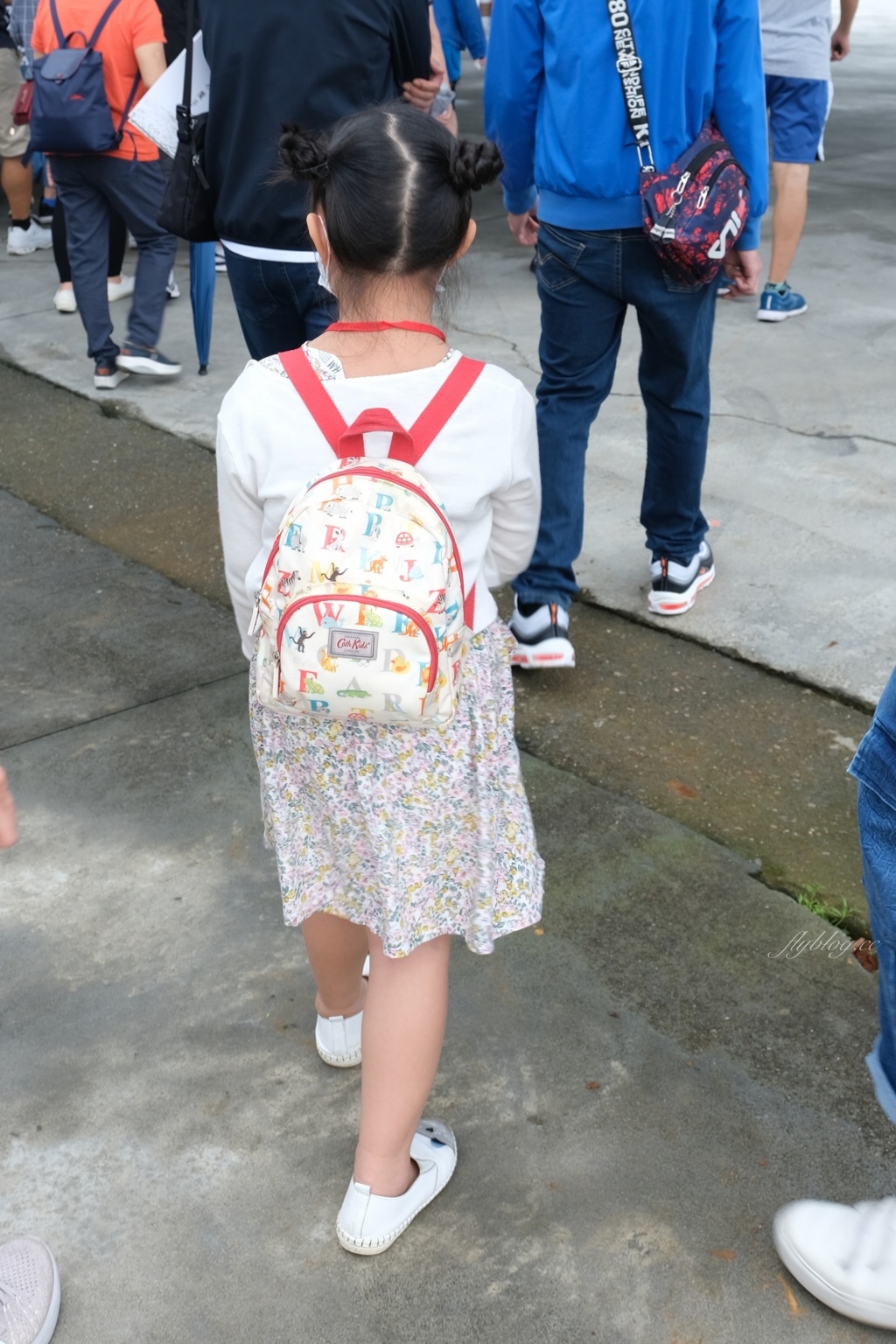 南投名間獅子頭山~茶之魔手田園茶香一日遊，珍珠奶茶DIY和採茶體驗 @飛天璇的口袋