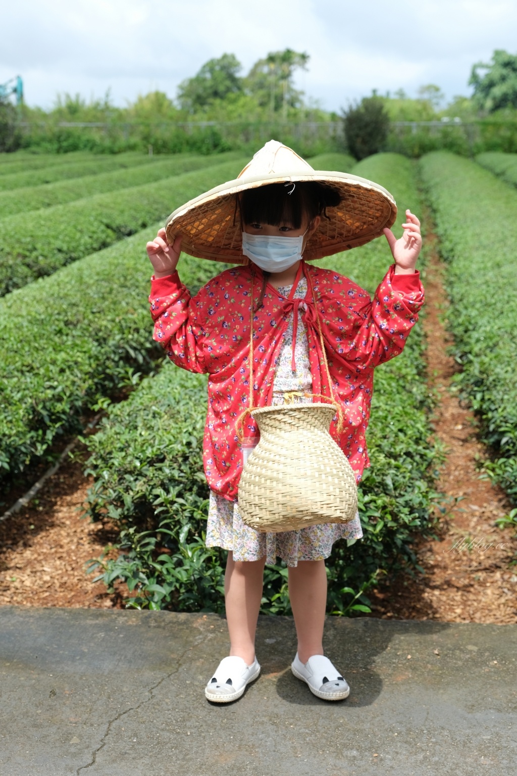 南投名間獅子頭山~茶之魔手田園茶香一日遊，珍珠奶茶DIY和採茶體驗 @飛天璇的口袋