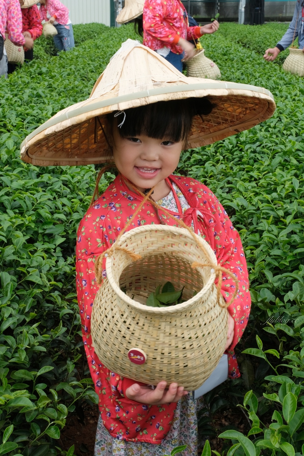 南投名間獅子頭山~茶之魔手田園茶香一日遊,珍珠奶茶DIY和採茶體驗 @飛天璇的口袋 南投名間獅子頭山~茶之魔手田園茶香一日遊,珍珠奶茶DIY和採茶體驗 @飛天璇的口袋