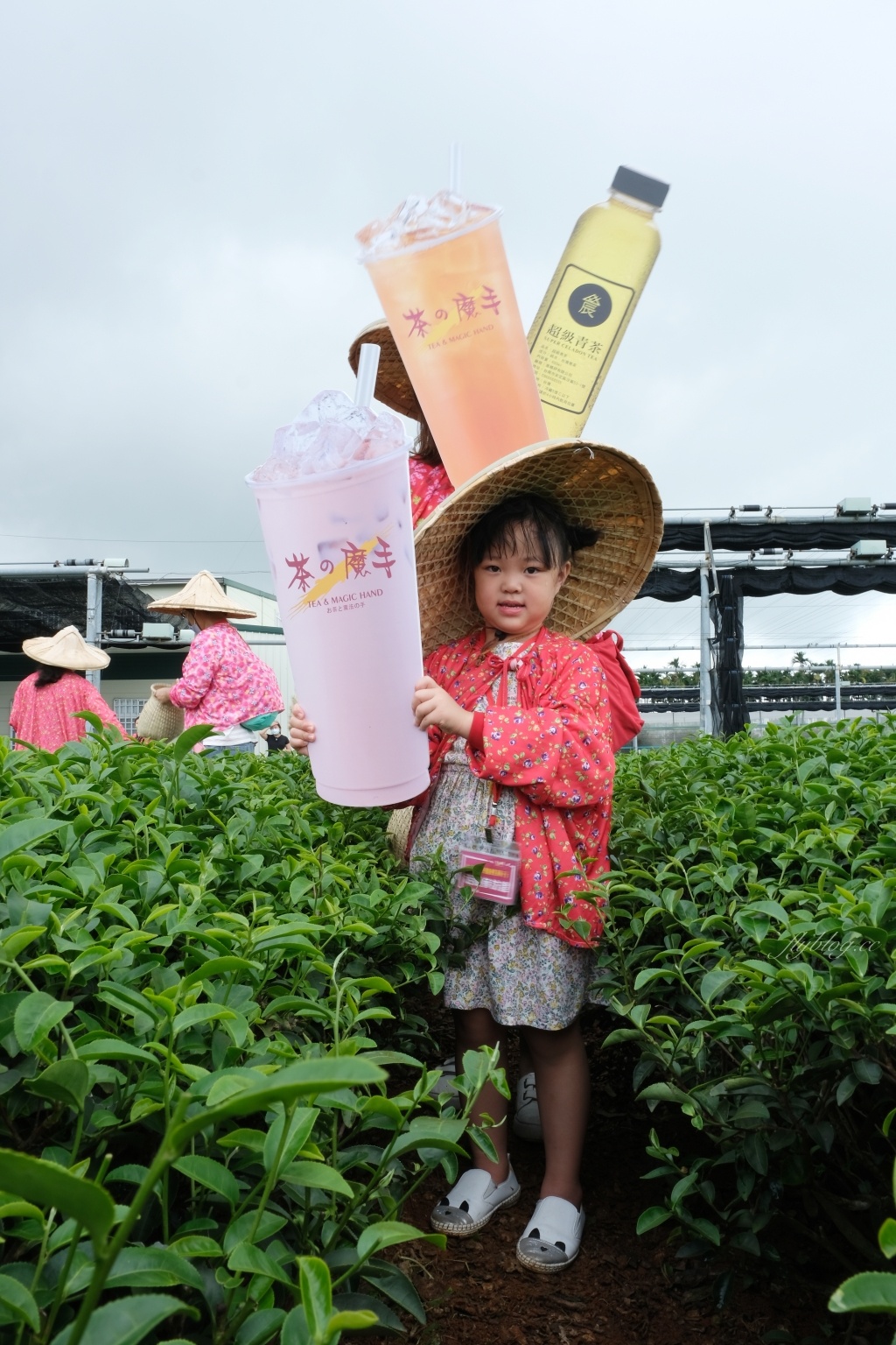 南投名間獅子頭山~茶之魔手田園茶香一日遊,珍珠奶茶DIY和採茶體驗 @飛天璇的口袋 南投名間獅子頭山~茶之魔手田園茶香一日遊,珍珠奶茶DIY和採茶體驗 @飛天璇的口袋