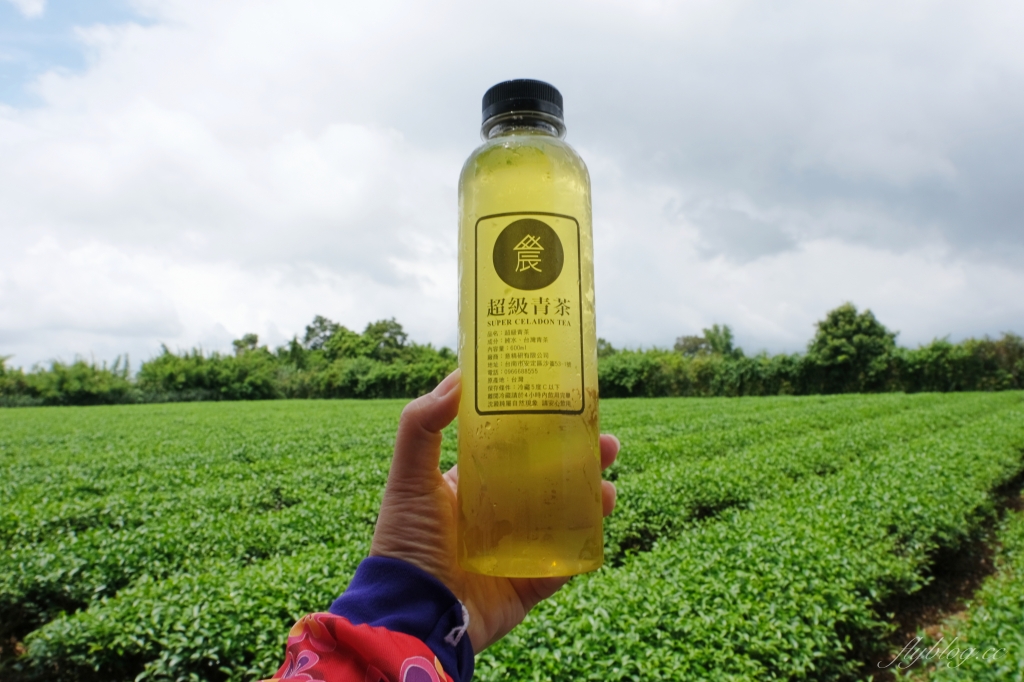 南投名間獅子頭山~茶之魔手田園茶香一日遊，珍珠奶茶DIY和採茶體驗 @飛天璇的口袋