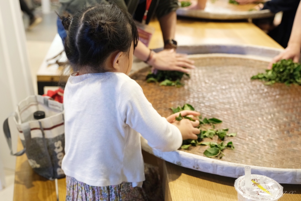 南投名間獅子頭山~茶之魔手田園茶香一日遊，珍珠奶茶DIY和採茶體驗 @飛天璇的口袋