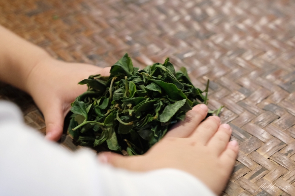 南投名間獅子頭山~茶之魔手田園茶香一日遊，珍珠奶茶DIY和採茶體驗 @飛天璇的口袋