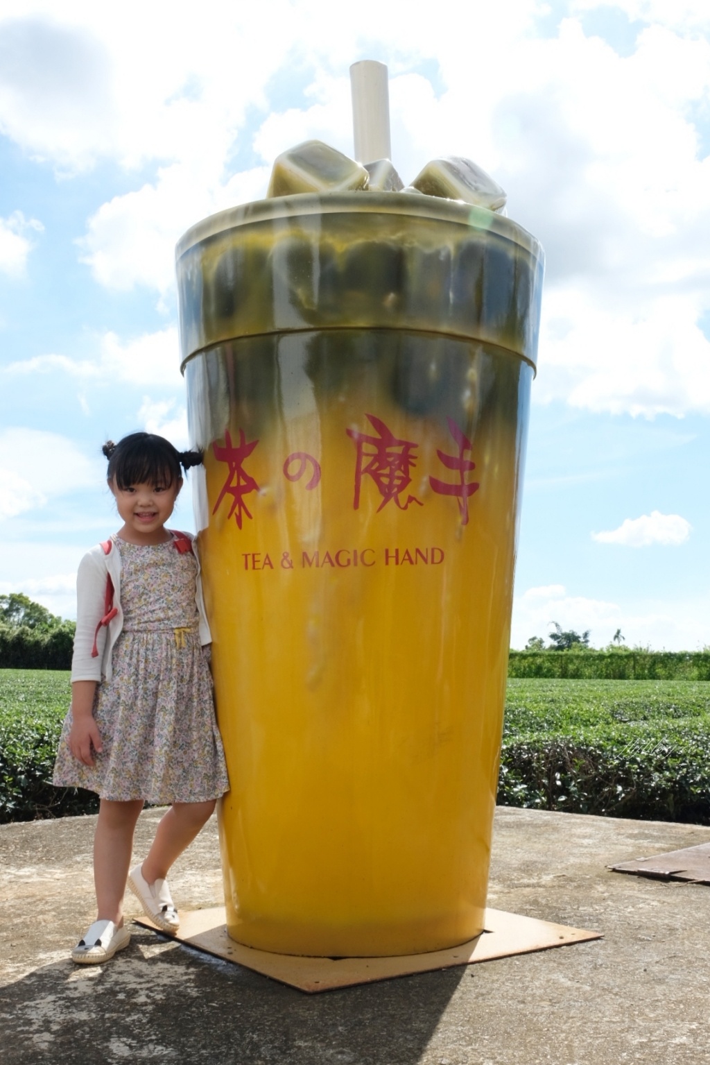 南投名間獅子頭山~茶之魔手田園茶香一日遊，珍珠奶茶DIY和採茶體驗 @飛天璇的口袋
