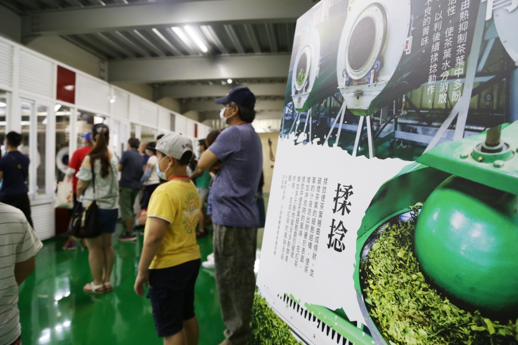 南投名間獅子頭山~茶之魔手田園茶香一日遊，珍珠奶茶DIY和採茶體驗 @飛天璇的口袋