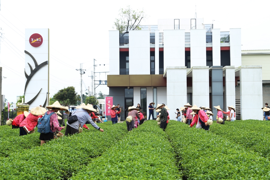 南投名間獅子頭山~茶之魔手田園茶香一日遊，珍珠奶茶DIY和採茶體驗 @飛天璇的口袋