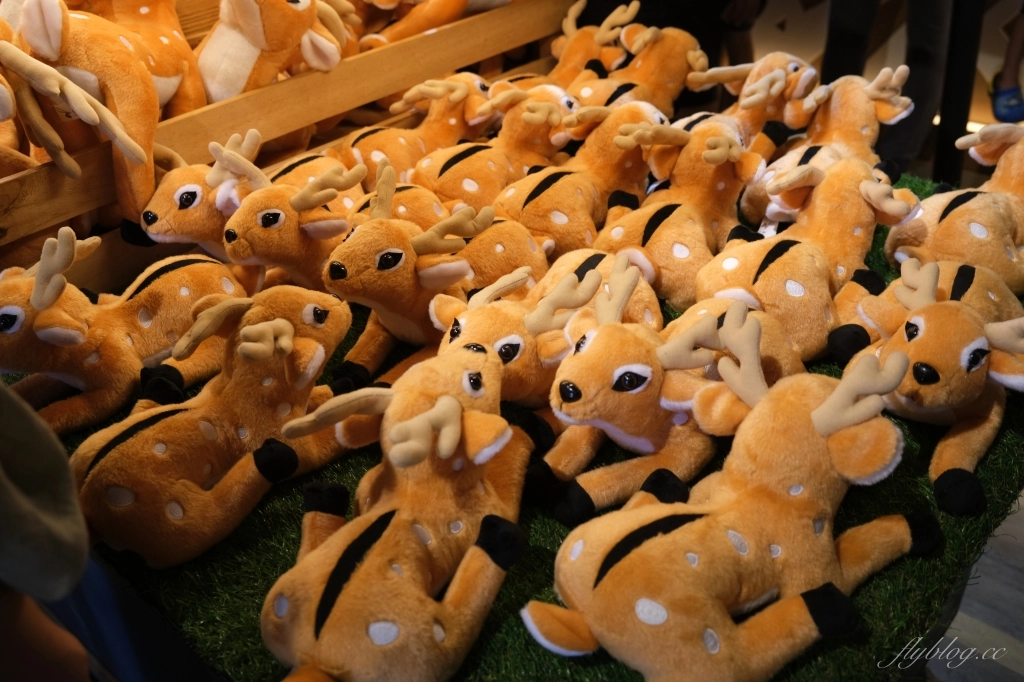 鹿境梅花鹿生態園區｜墾丁親子旅遊景點，和梅花鹿的近距離接觸 @飛天璇的口袋