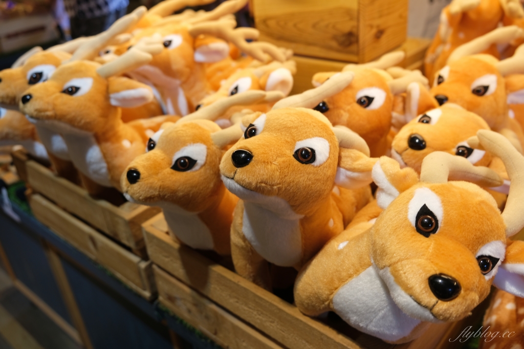 鹿境梅花鹿生態園區｜墾丁親子旅遊景點，和梅花鹿的近距離接觸 @飛天璇的口袋