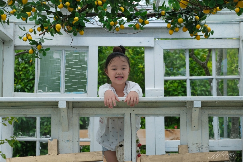 鹿境梅花鹿生態園區｜墾丁親子旅遊景點，和梅花鹿的近距離接觸 @飛天璇的口袋