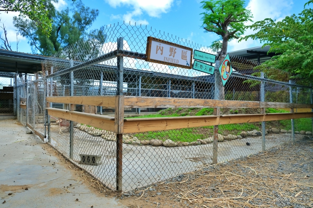 鹿境梅花鹿生態園區｜墾丁親子旅遊景點，和梅花鹿的近距離接觸 @飛天璇的口袋