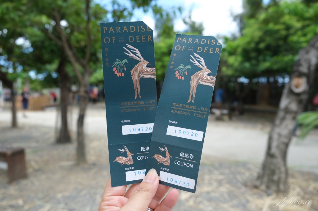 鹿境梅花鹿生態園區｜墾丁親子旅遊景點，和梅花鹿的近距離接觸 @飛天璇的口袋