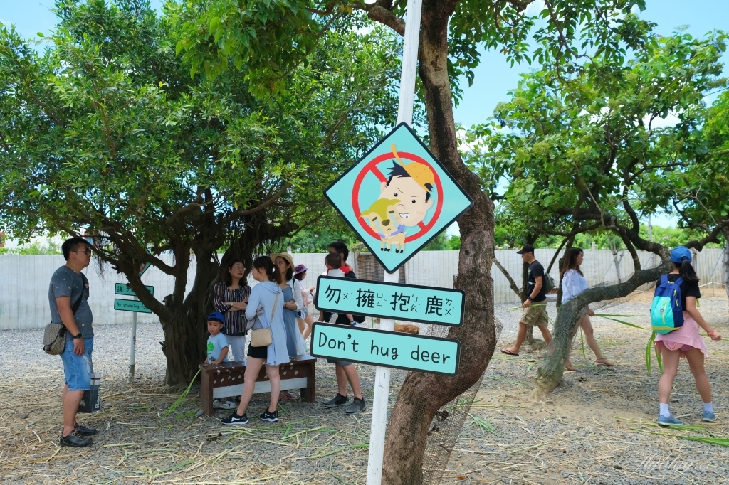 鹿境梅花鹿生態園區｜墾丁親子旅遊景點，和梅花鹿的近距離接觸 @飛天璇的口袋