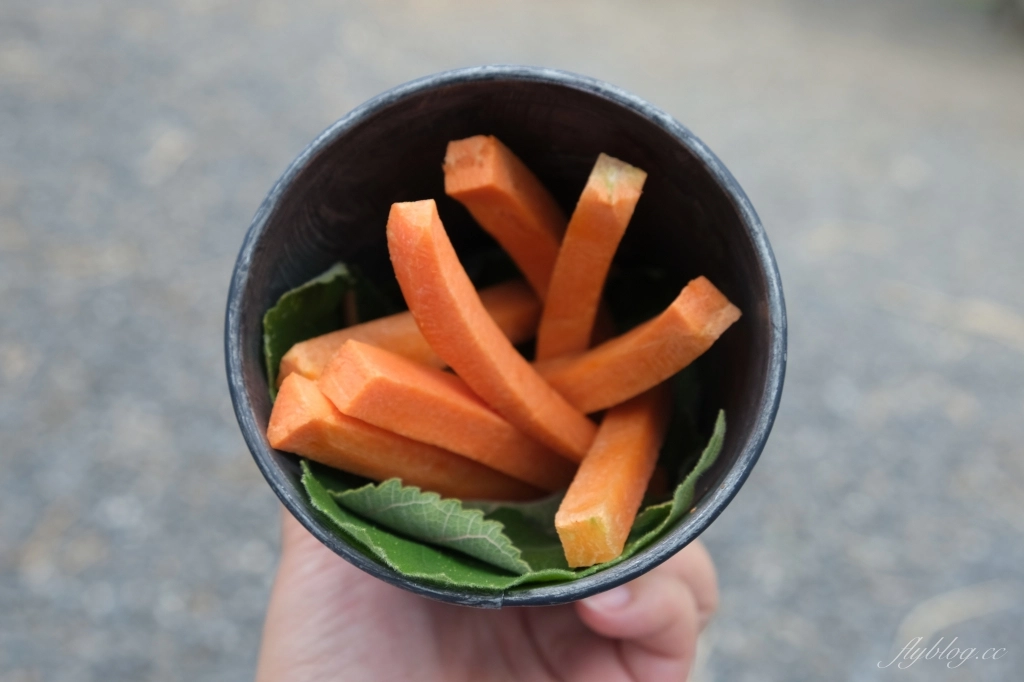 鹿境梅花鹿生態園區｜墾丁親子旅遊景點，和梅花鹿的近距離接觸 @飛天璇的口袋