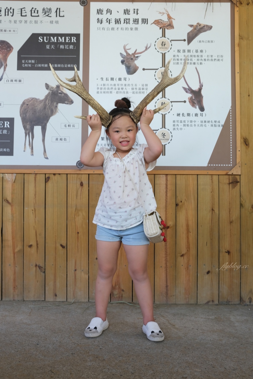 鹿境梅花鹿生態園區｜墾丁親子旅遊景點，和梅花鹿的近距離接觸 @飛天璇的口袋