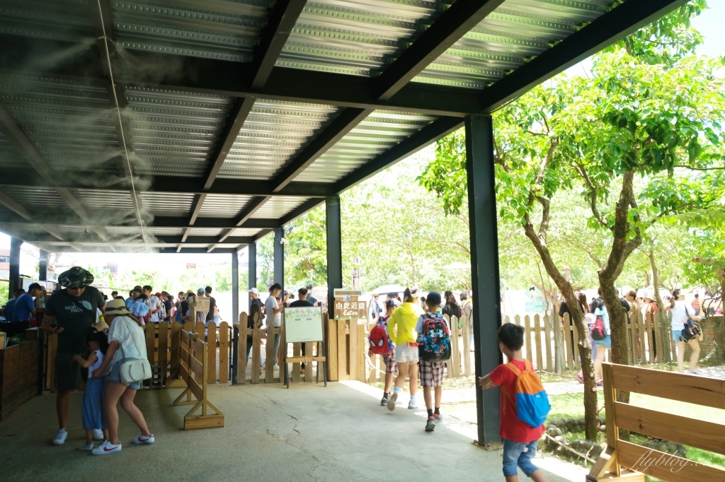 鹿境梅花鹿生態園區｜墾丁親子旅遊景點，和梅花鹿的近距離接觸 @飛天璇的口袋