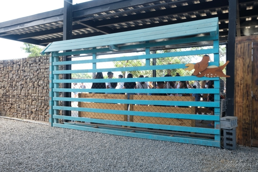 鹿境梅花鹿生態園區｜墾丁親子旅遊景點，和梅花鹿的近距離接觸 @飛天璇的口袋