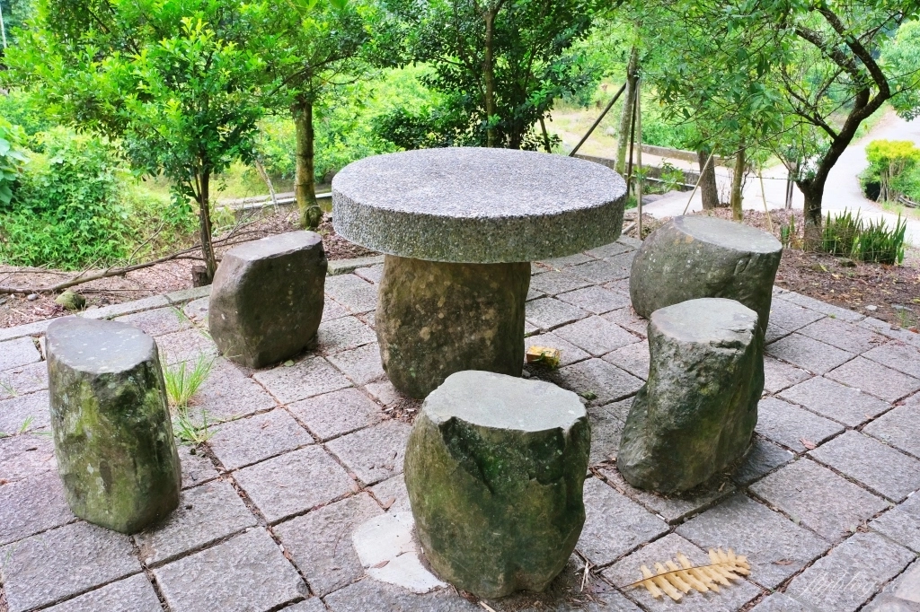 【南投國姓】看見台灣!南投國姓百年茄苳神木,隱藏在樹洞裡的台灣地形 @飛天璇的口袋 【南投國姓】看見台灣!南投國姓百年茄苳神木,隱藏在樹洞裡的台灣地形 @飛天璇的口袋