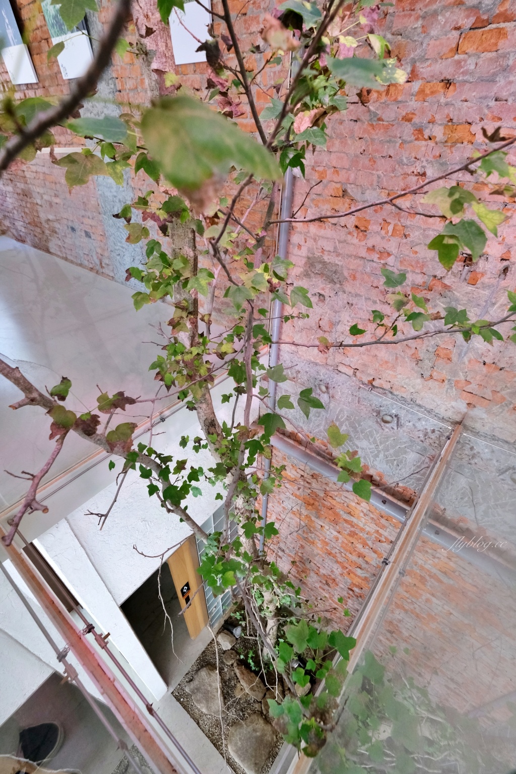 【台中南屯】吃茶三千：台中超美手搖茶專賣店，玻璃屋設計網美景觀 @飛天璇的口袋