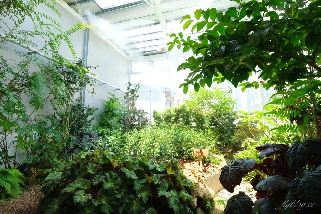 【台中南屯】吃茶三千：台中超美手搖茶專賣店，玻璃屋設計網美景觀 @飛天璇的口袋