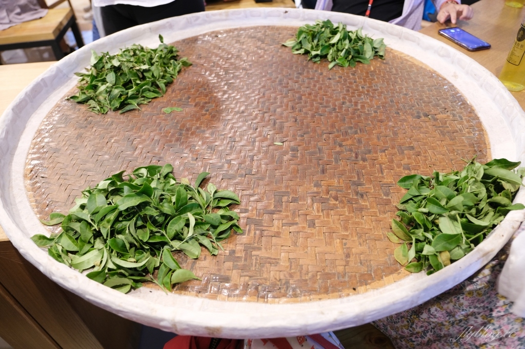 南投名間獅子頭山~茶之魔手田園茶香一日遊，珍珠奶茶DIY和採茶體驗 @飛天璇的口袋