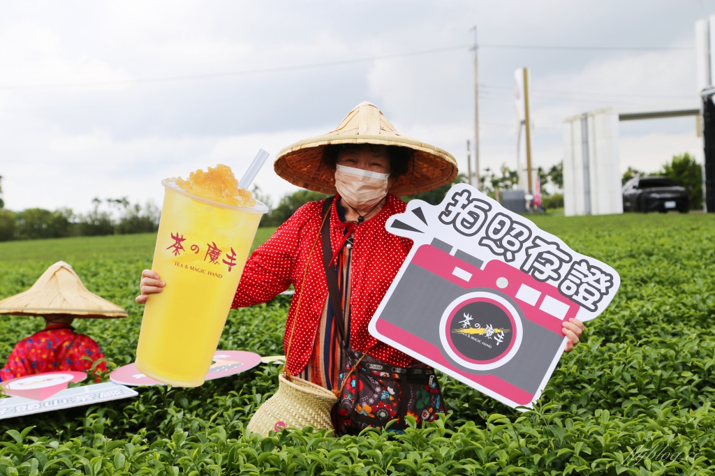南投名間獅子頭山~茶之魔手田園茶香一日遊，珍珠奶茶DIY和採茶體驗 @飛天璇的口袋