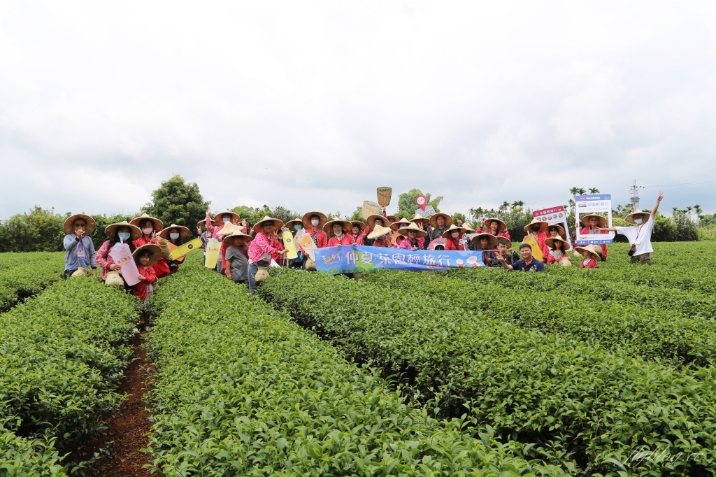 南投名間獅子頭山~茶之魔手田園茶香一日遊，珍珠奶茶DIY和採茶體驗 @飛天璇的口袋