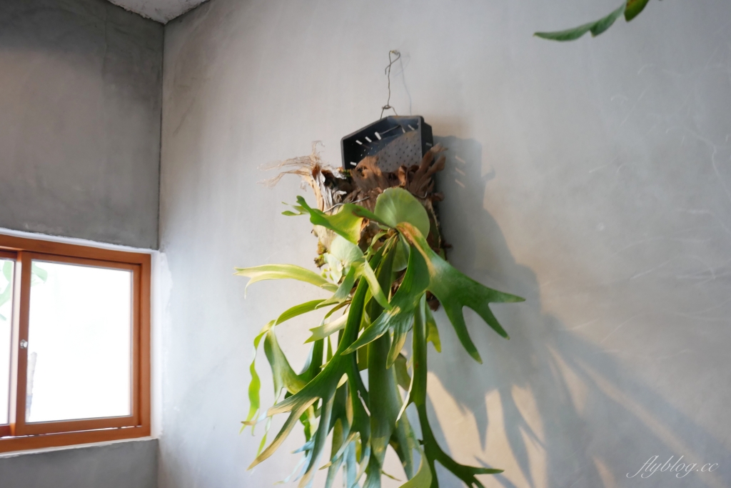 Opus 67｜序曲早午餐新品牌Opus 67，老宅悠閒空間面對大片綠地 @飛天璇的口袋