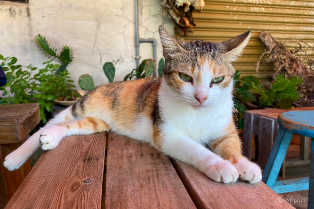 台東東河｜我在玩玩冰箱，全台最美的路邊攤下午茶，台東IG打卡熱門景點 @飛天璇的口袋